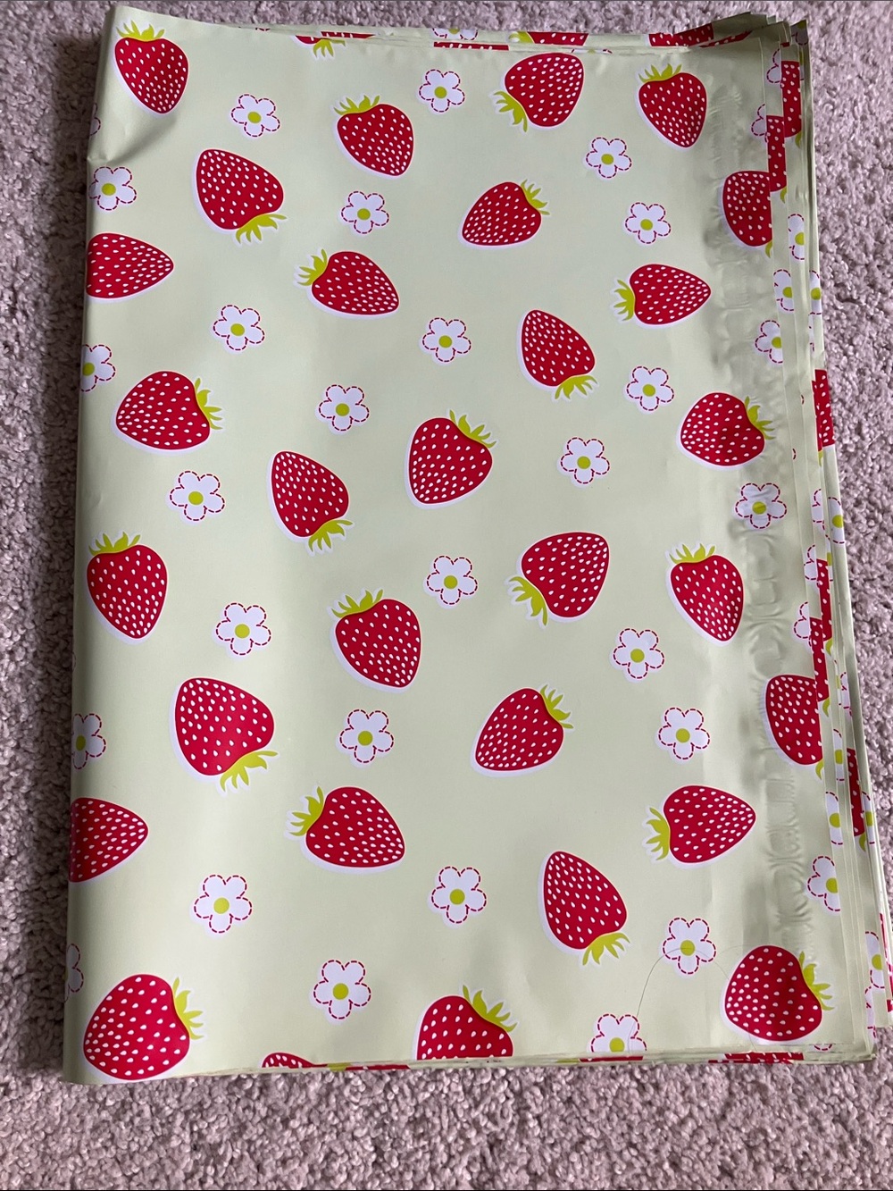 Strawberry Polymailers 14.5 x 19 Pack of 10 NWT - Picture 3 of 4